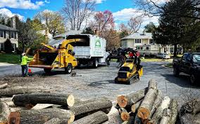 Best Lawn Maintenance Plans  in Boonville, NC